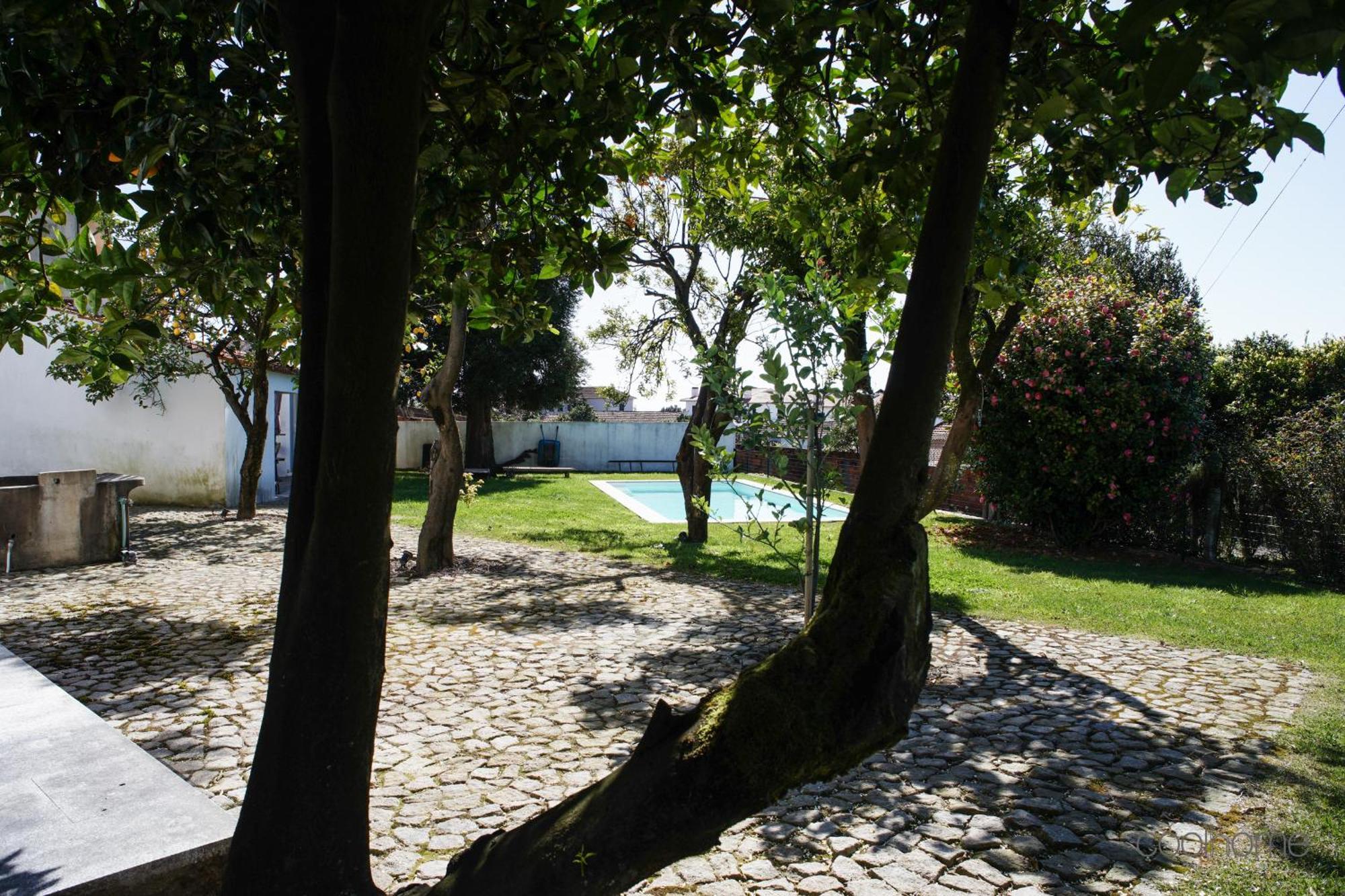 12 Casa D'Avo Villa อัลแบร์กาเรีย-อา-แวญา ภายนอก รูปภาพ