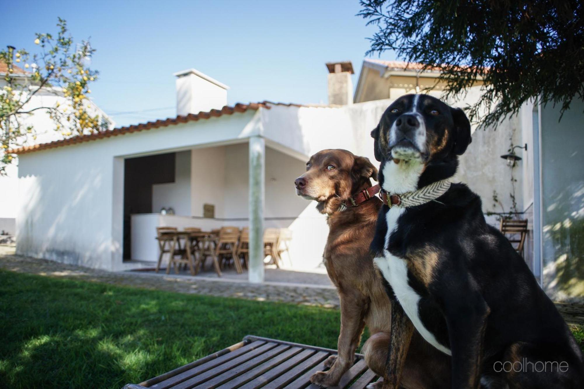 12 Casa D'Avo Villa อัลแบร์กาเรีย-อา-แวญา ภายนอก รูปภาพ